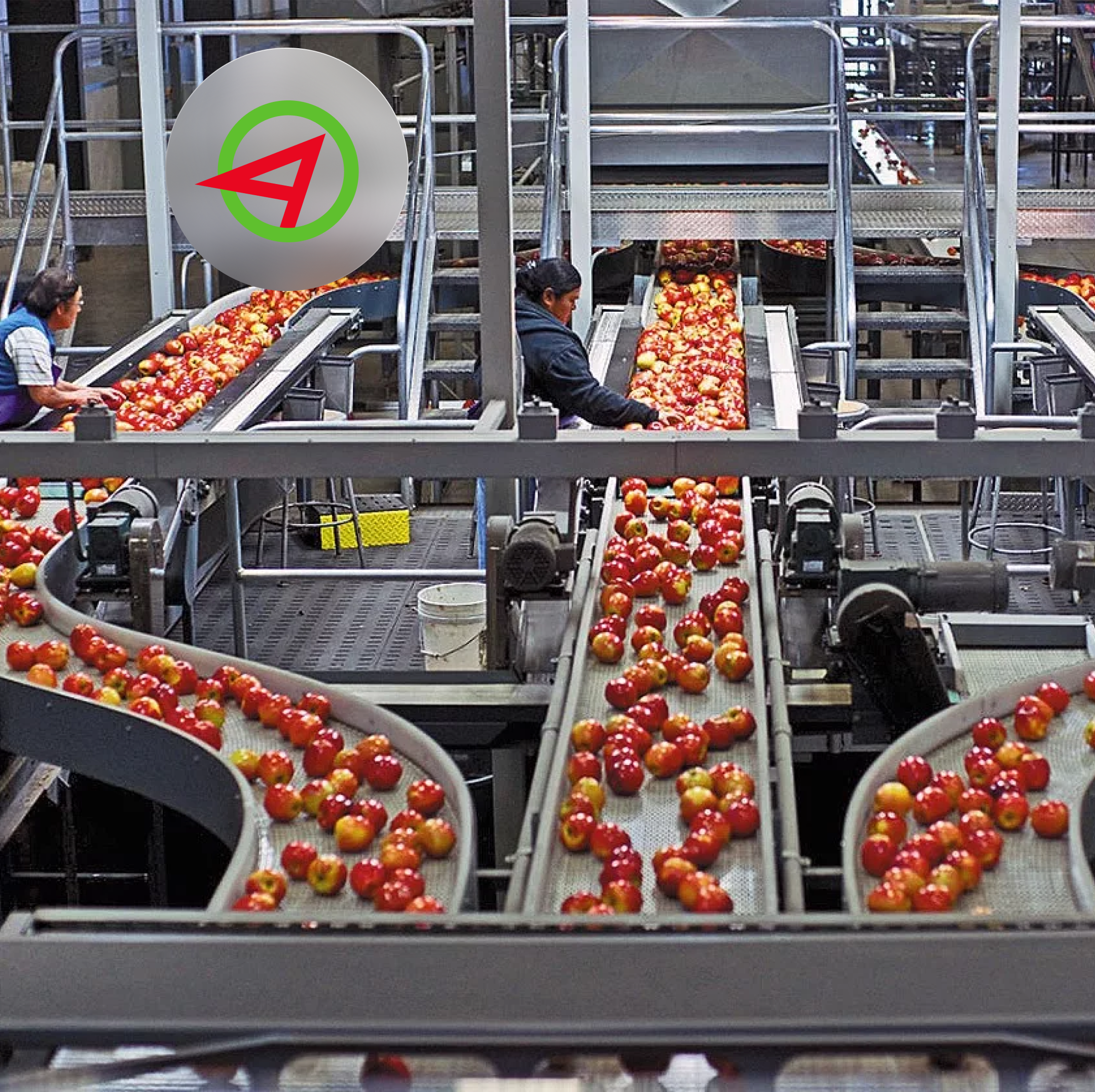 Особенности конвейеров для овощей и фруктов