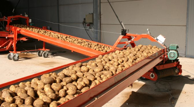 Особенности конвейеров для картофеля