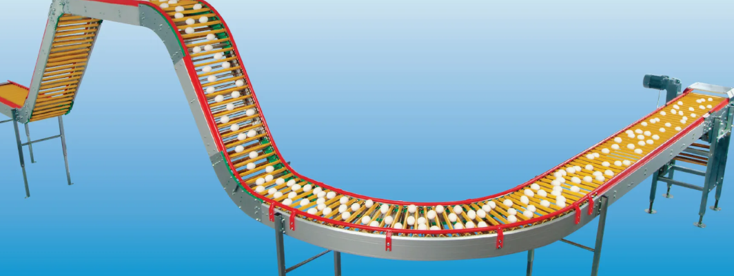 Виды конвейеров для яиц
