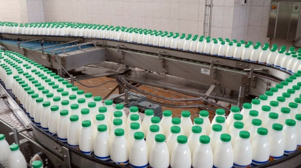 Виды конвейеров для молока